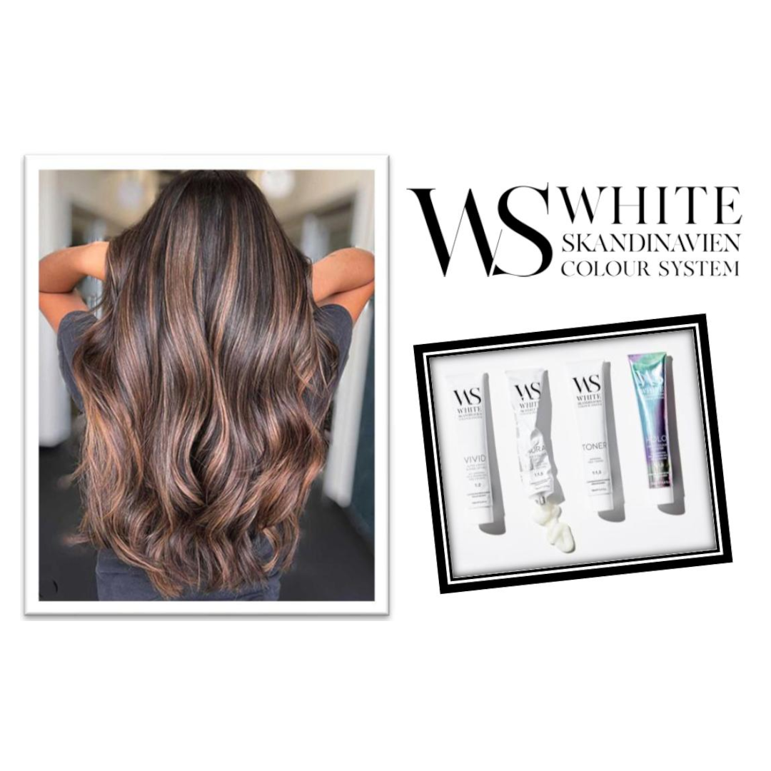 BRUNETTE BALAYAGE – BALAYAGE TRAINING MET WHITE SKANDINAVIEN 12/05/2025