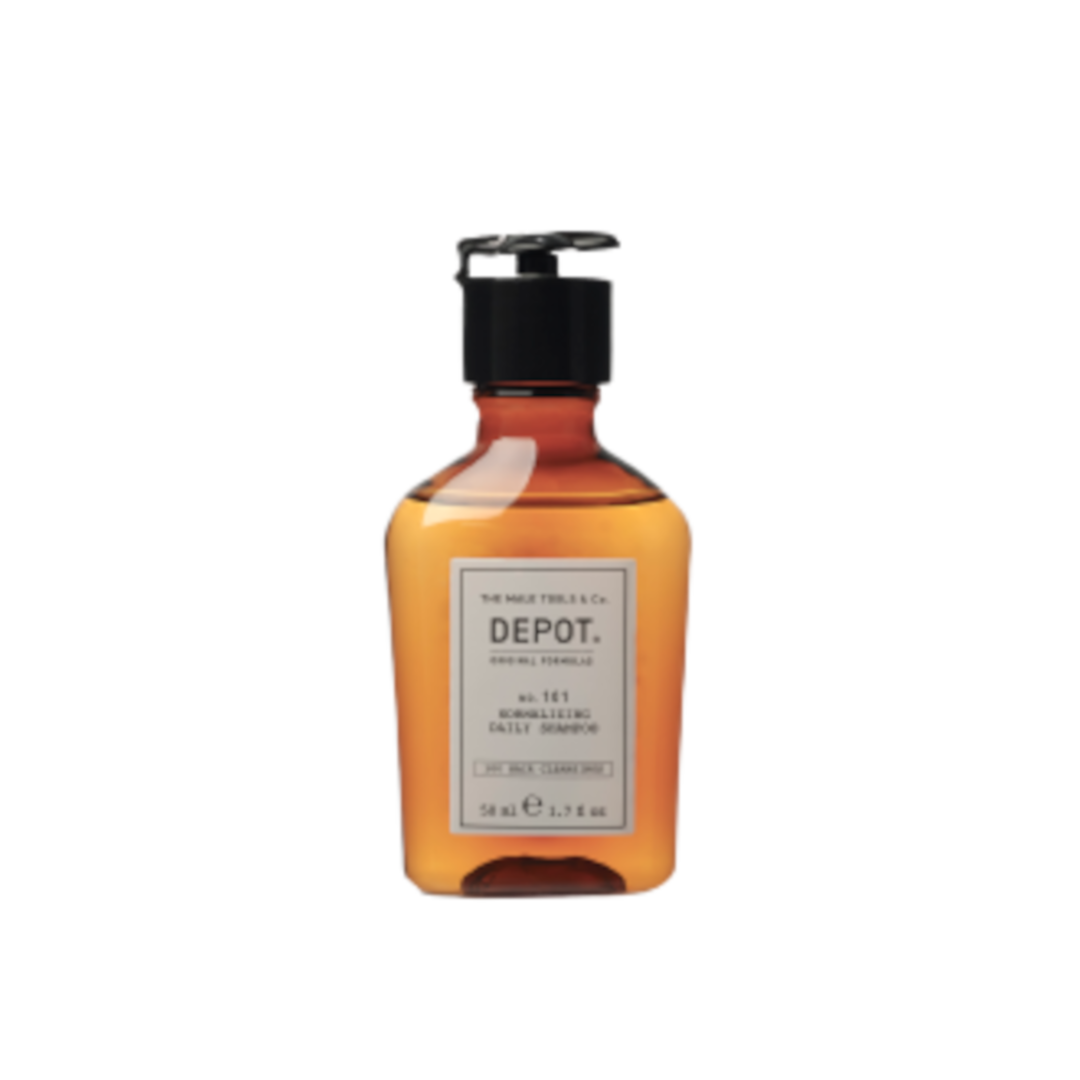 No.101 Normalizing Daily Shampoo