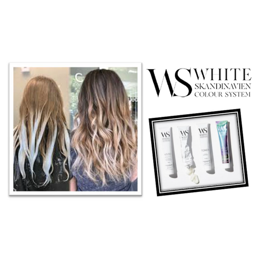 FREEHAND BALAYAGE MET FOILYAGE – BALAYAGE TRAINING MET WHITE SKANDINAVIEN. - 17/11/2025