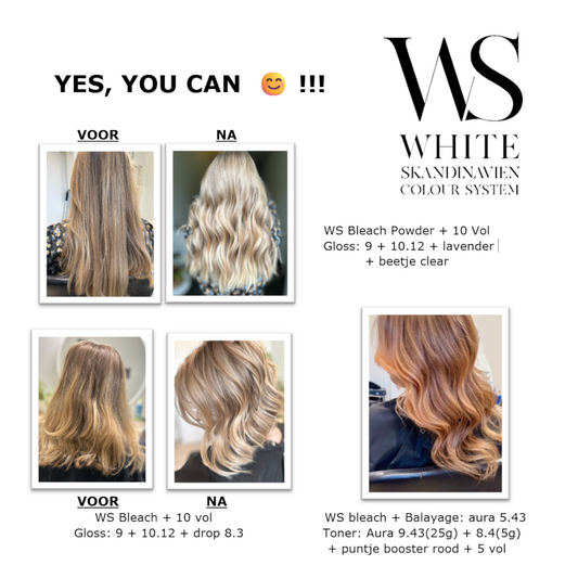 Promo Pack WS Colour System