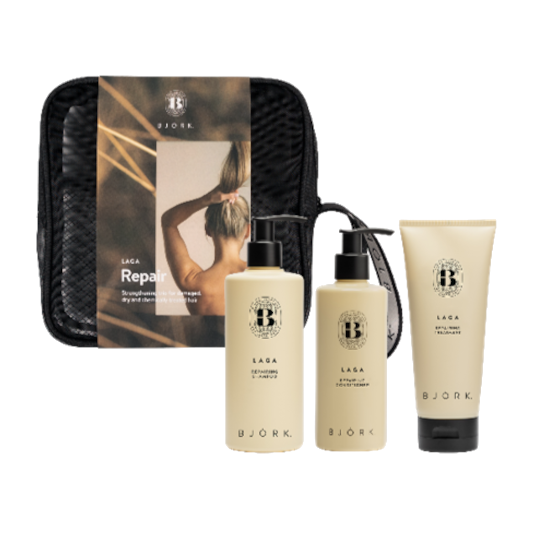 Bjork X-mas Box Repair