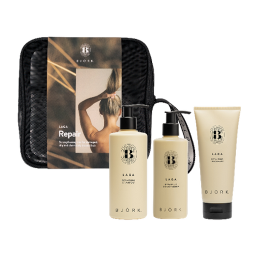 Bjork X-mas Box Repair