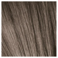 Igora Color10