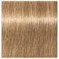 Igora Color10