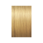 Illumina Color