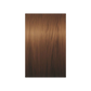 Illumina Color