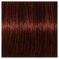 Igora Absolutes